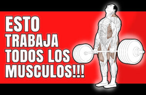 MUSCULOS PESO MUERTO