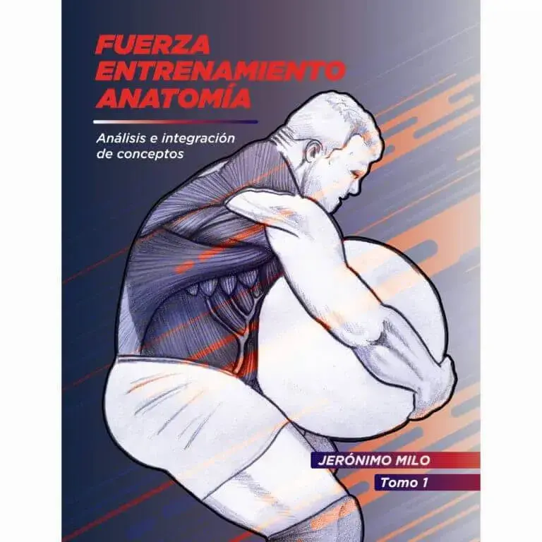 Fuerza Entrenamiento Anatomía