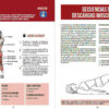 Manual de fuerza anatomía y entrenamiento 2