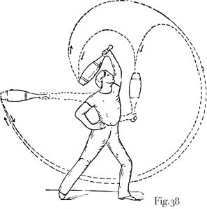 9788431539368 - Enciclopedia De Los Perros De Caza Animales Spanish Edition By D