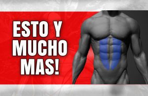 musculos de planchas