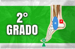 palanca de segundo grado en el cuerpo