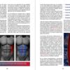 el core y sus musculos