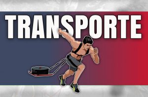 Patrón de transporte