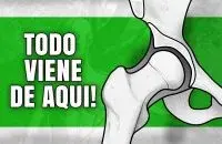 La forma de la cadera