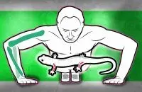 Lagartijas y posicion