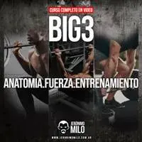 BIG 3