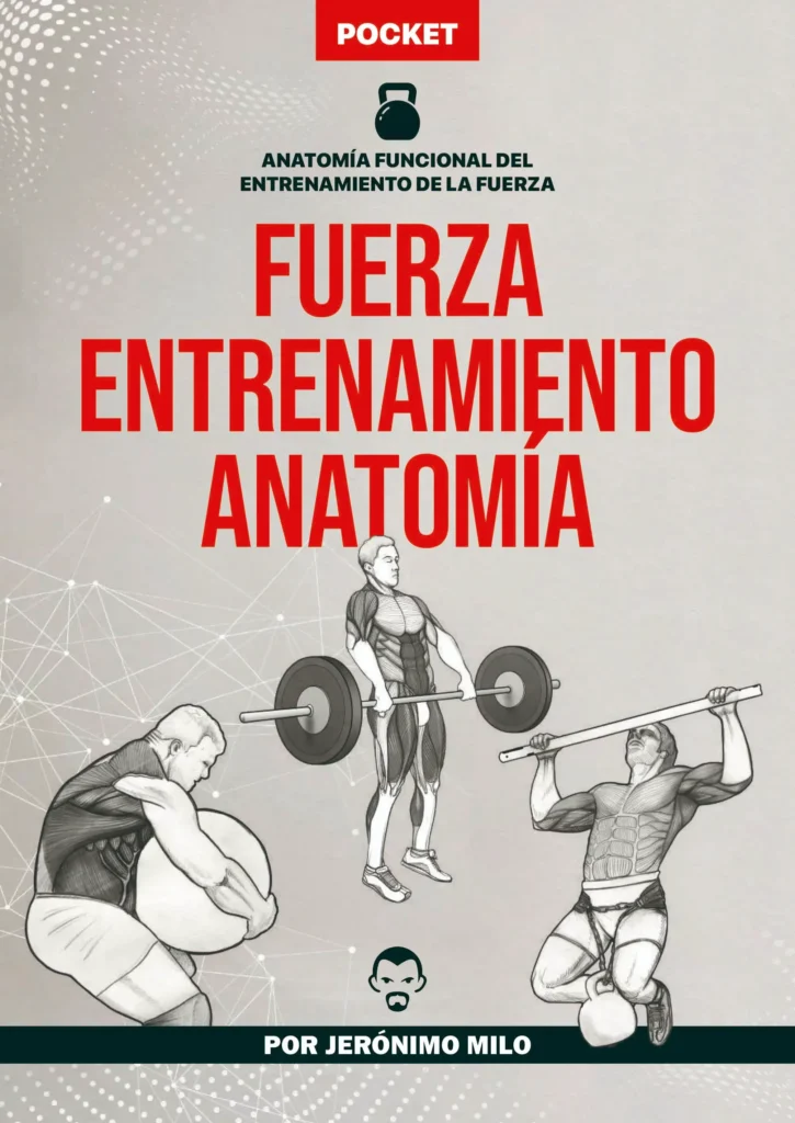 fuerza entrenamiento anatomia