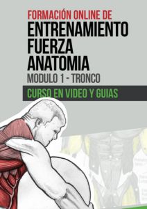 formacion online de anatomia y fuerza