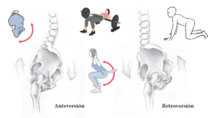 anteversion retroversion de la pelvis