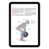 hip hinge muscle diagram during deadlift