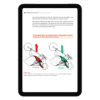 bench press sticking point graphic showing shoulder mechanics