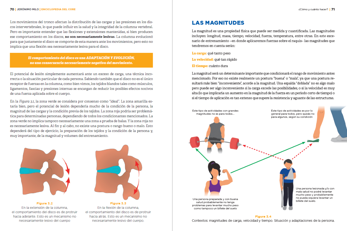 Gráfico de estabilización y transmisión de fuerzas en el tronco