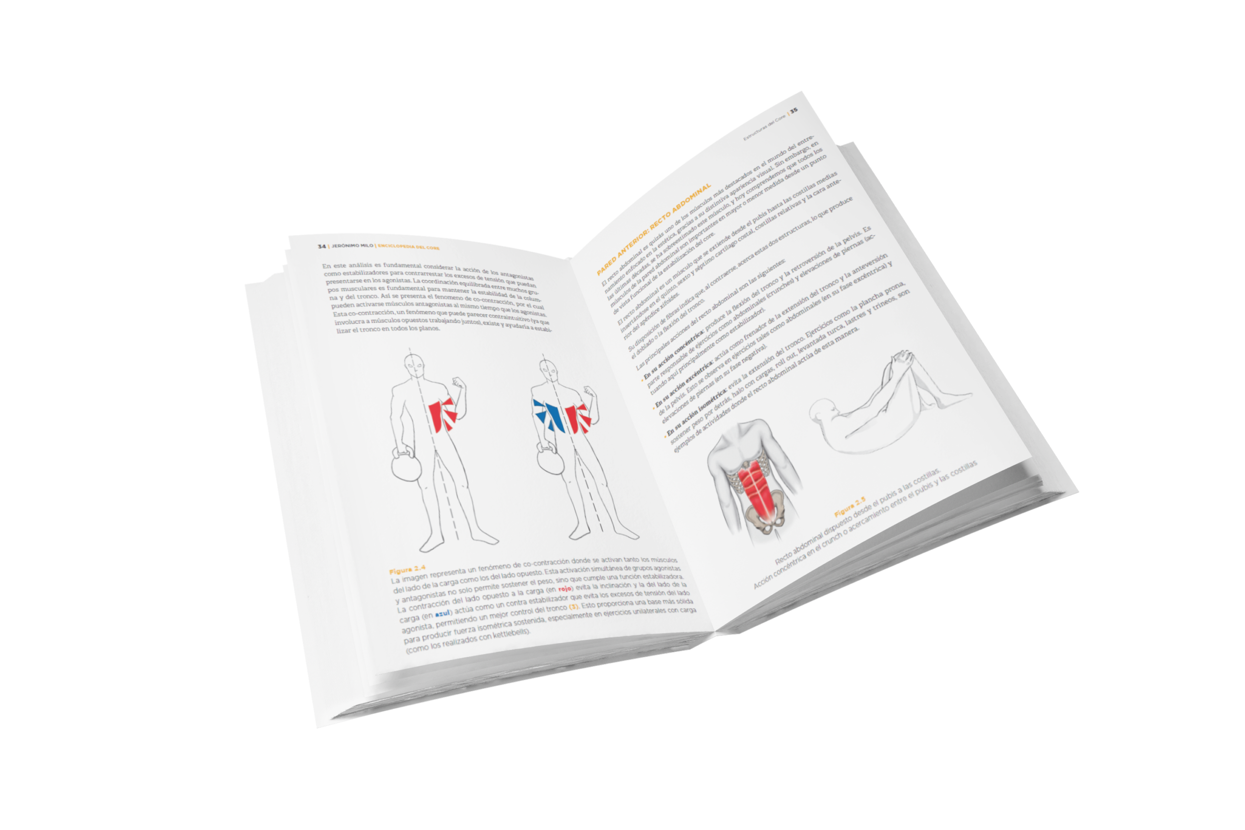 Enciclopedia del CORE. (Edición impresa). - ENVIO GRATIS. - Imagen 2