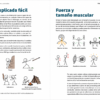 figuras de tamaño muscular