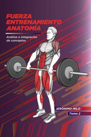 Fuerza entrenamiento anatomia 2
